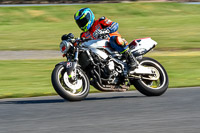 Advanced Group White Bikes